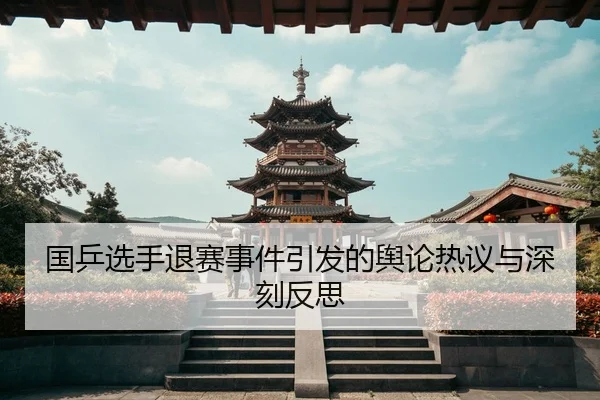 国乒选手退赛事件引发的舆论热议与深刻反思